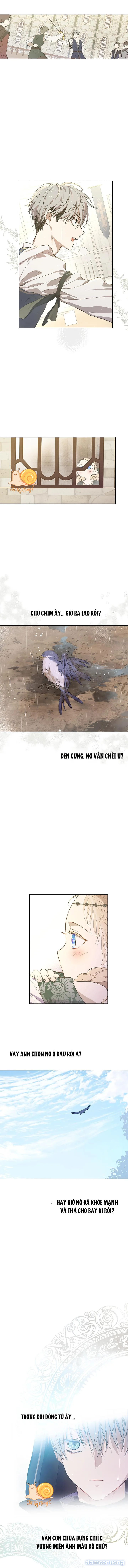 Cánh Đồng Bị Lãng Quên 