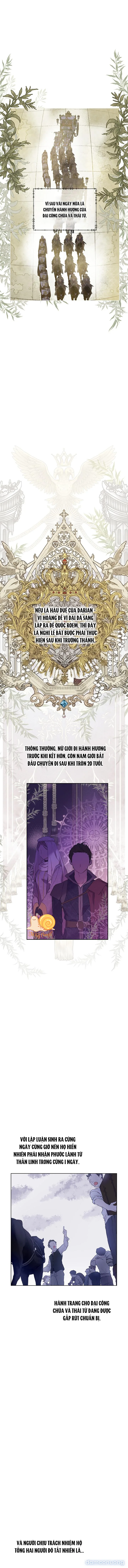 Cánh Đồng Bị Lãng Quên 