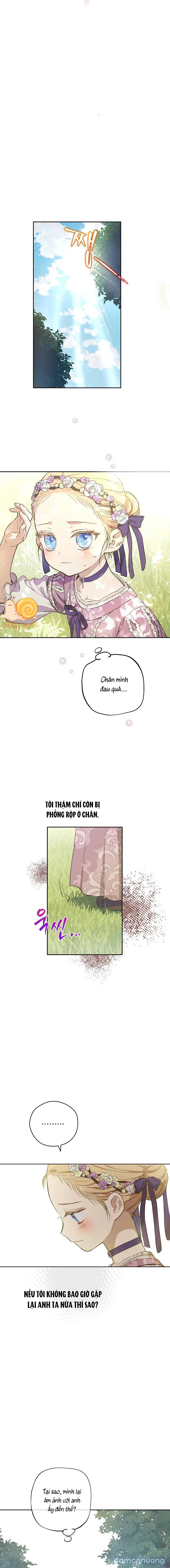 Cánh Đồng Bị Lãng Quên 