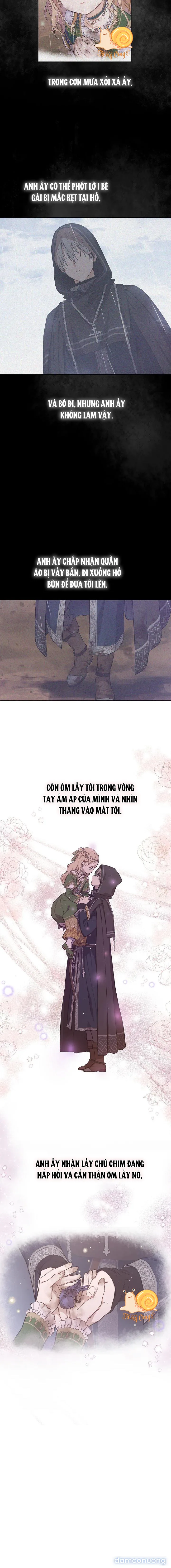 Cánh Đồng Bị Lãng Quên 