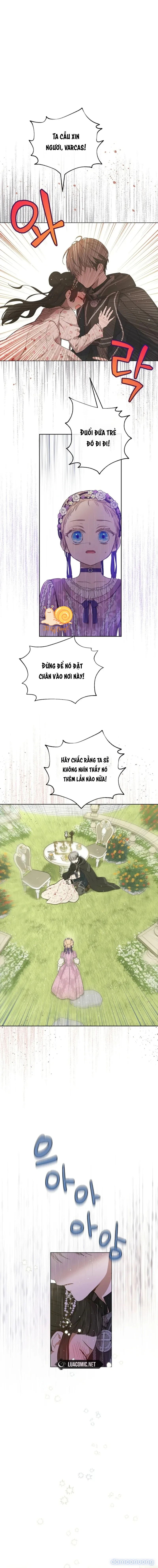 Cánh Đồng Bị Lãng Quên 