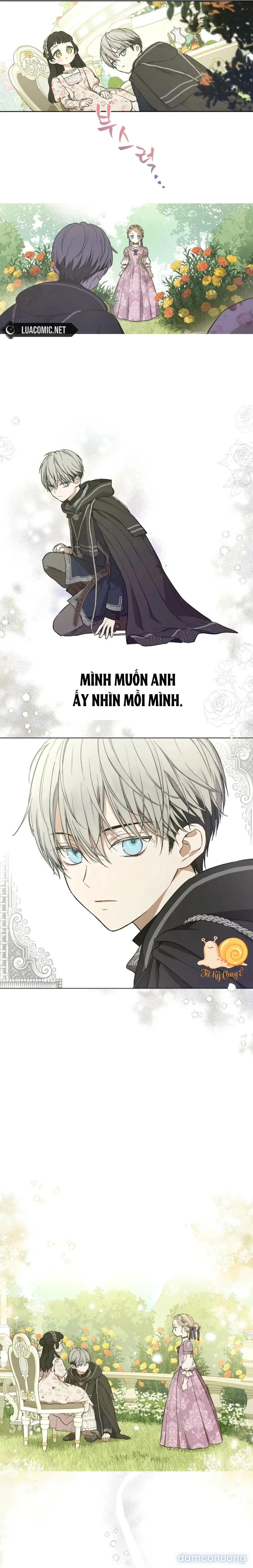 Cánh Đồng Bị Lãng Quên 