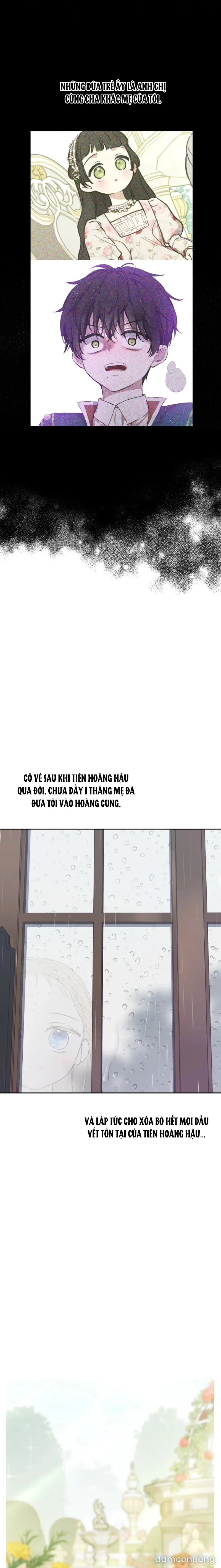 Cánh Đồng Bị Lãng Quên 