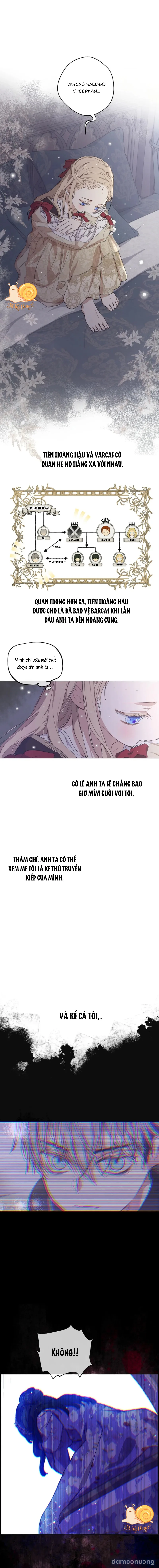 Cánh Đồng Bị Lãng Quên 