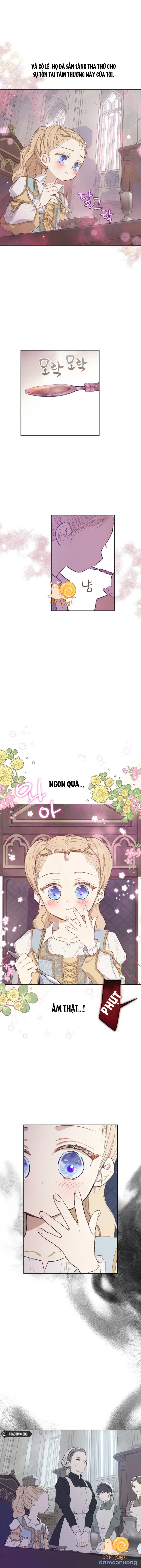 Cánh Đồng Bị Lãng Quên 