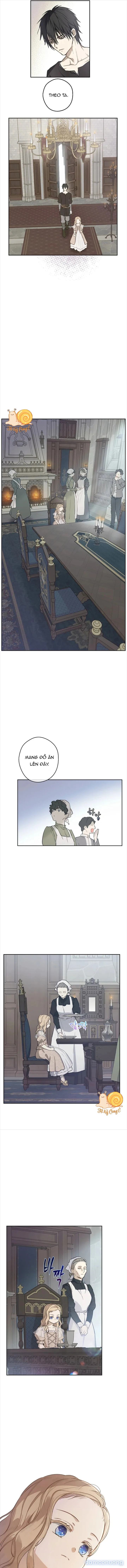 Cánh Đồng Bị Lãng Quên 
