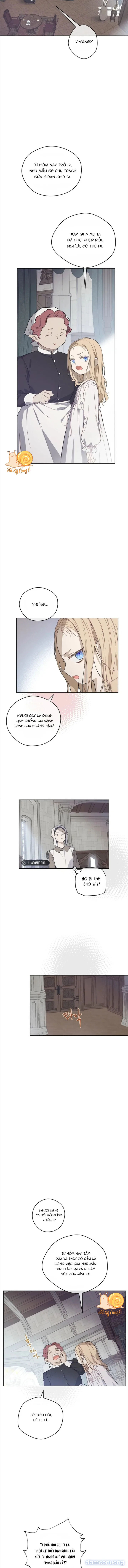 Cánh Đồng Bị Lãng Quên 