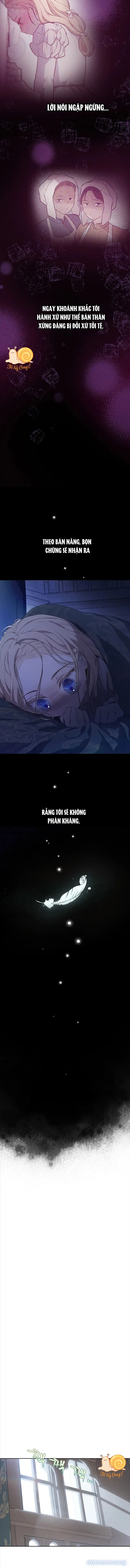 Cánh Đồng Bị Lãng Quên 