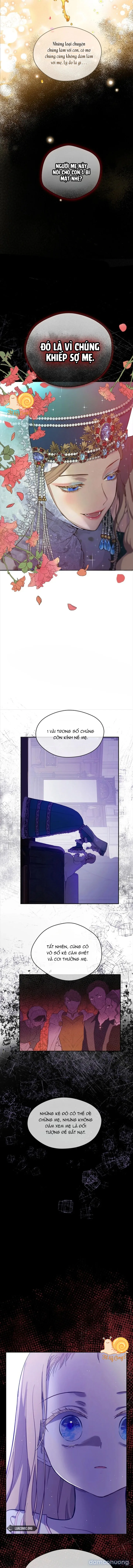 Cánh Đồng Bị Lãng Quên 