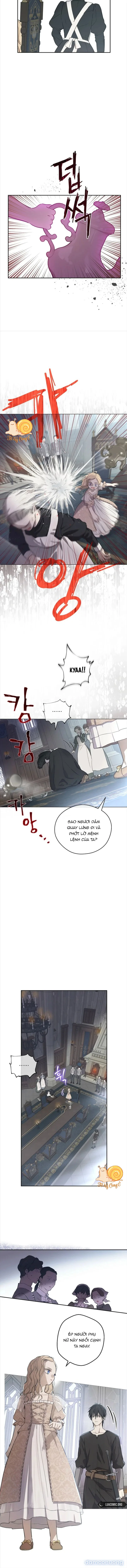 Cánh Đồng Bị Lãng Quên 