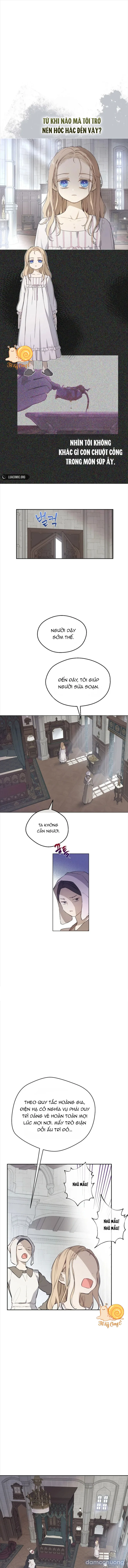 Cánh Đồng Bị Lãng Quên 