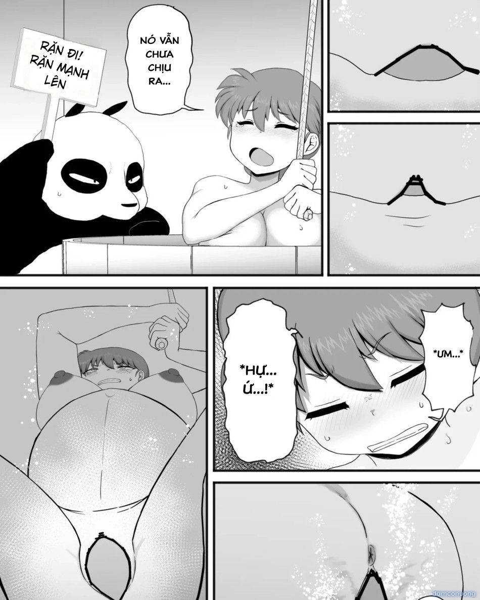 Ranma 1+1 (Ranma 1/2) 