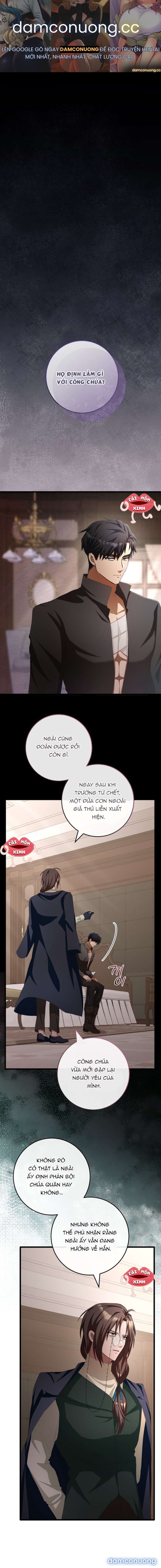 Lời Cầu Hôn Mông Muội 