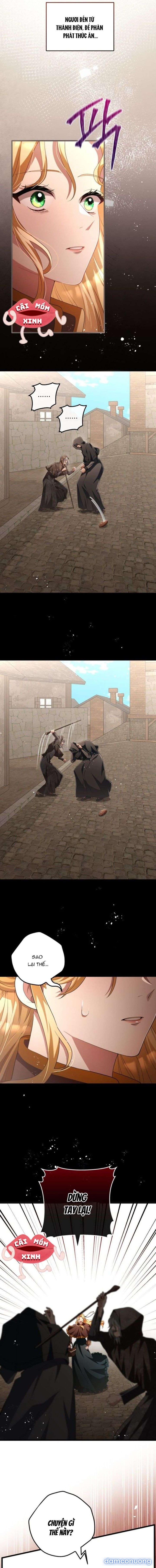 Lời Cầu Hôn Mông Muội 
