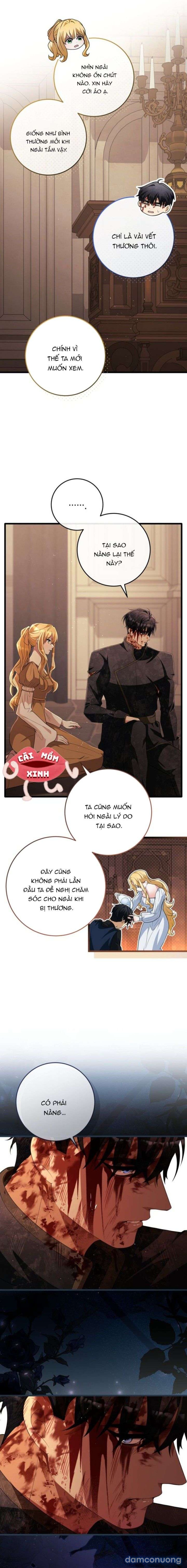 Lời Cầu Hôn Mông Muội 