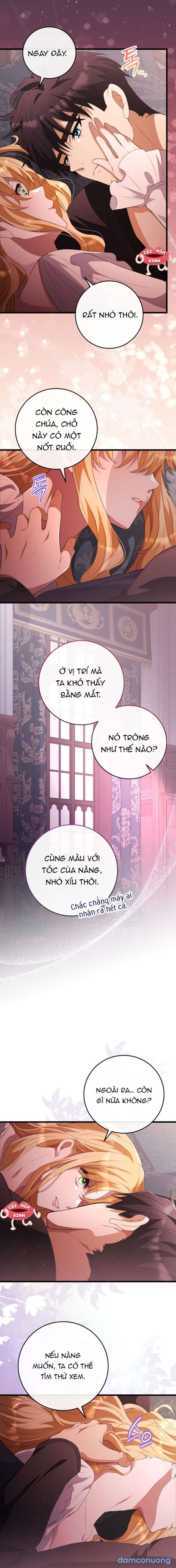 Lời Cầu Hôn Mông Muội 