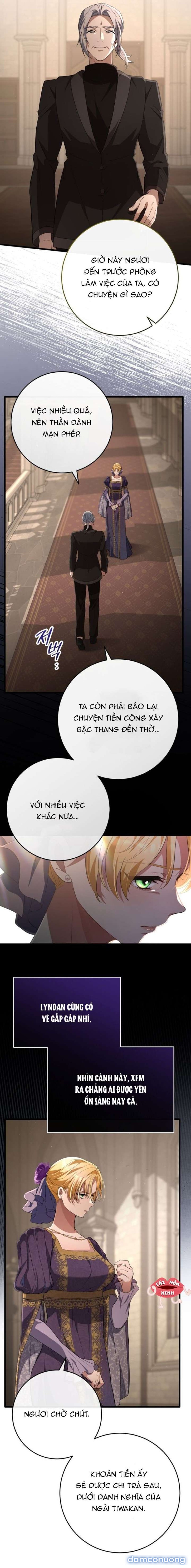 Lời Cầu Hôn Mông Muội 