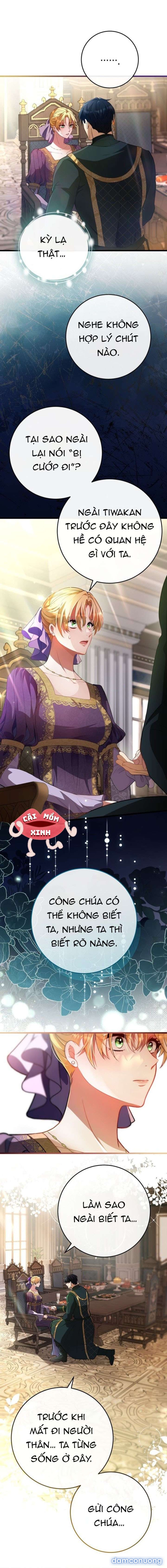 Lời Cầu Hôn Mông Muội 