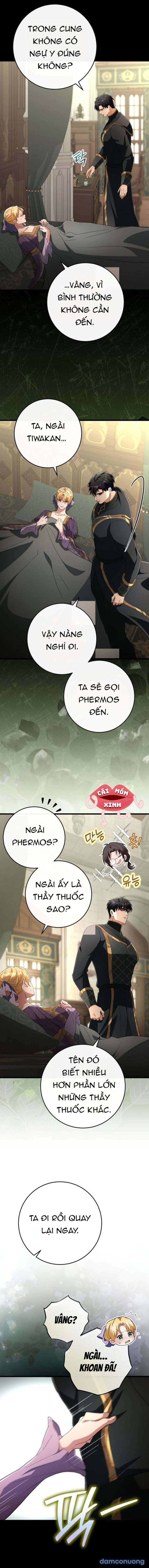 Lời Cầu Hôn Mông Muội 