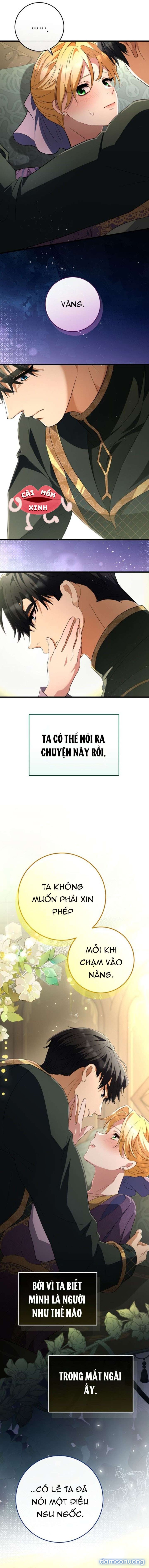 Lời Cầu Hôn Mông Muội 
