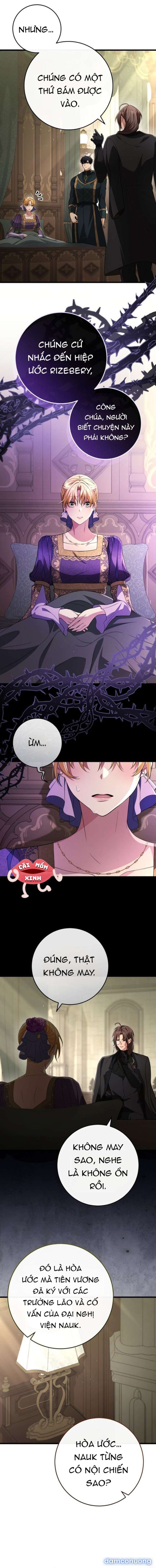 Lời Cầu Hôn Mông Muội 
