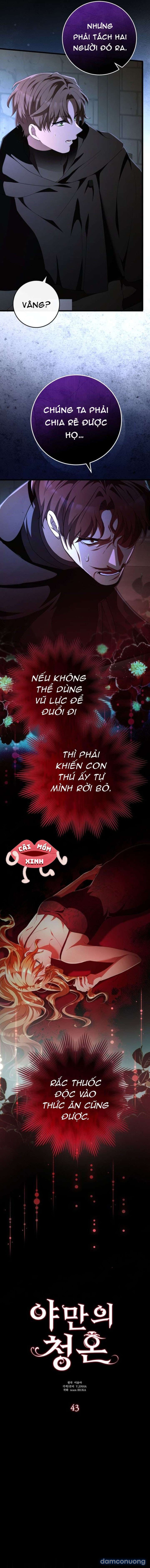 Lời Cầu Hôn Mông Muội 