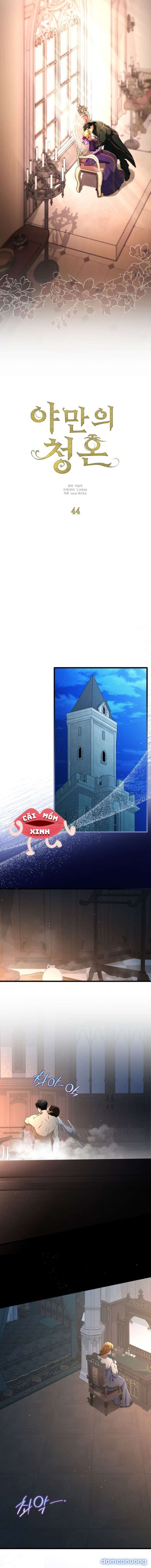 Lời Cầu Hôn Mông Muội 