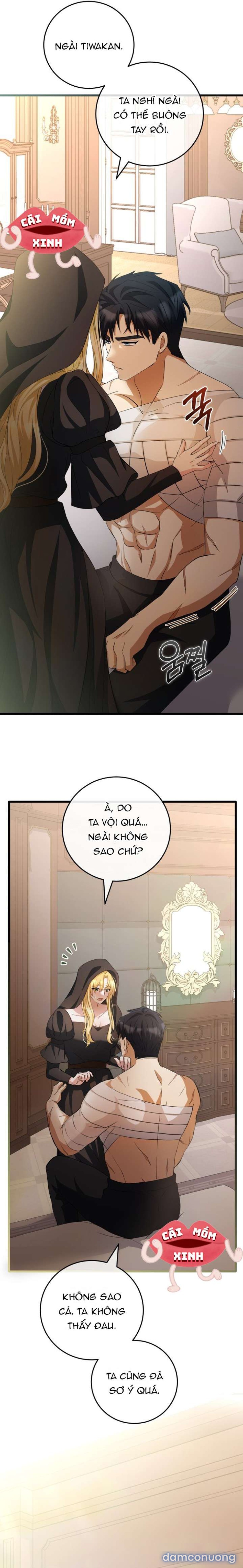 Lời Cầu Hôn Mông Muội 