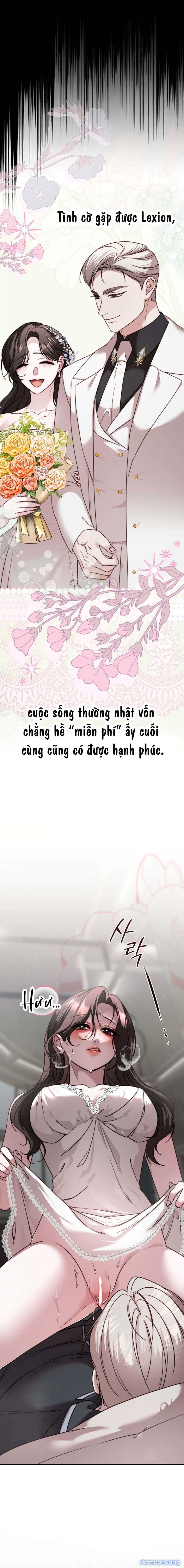 Cô Dâu Anh Hùng 