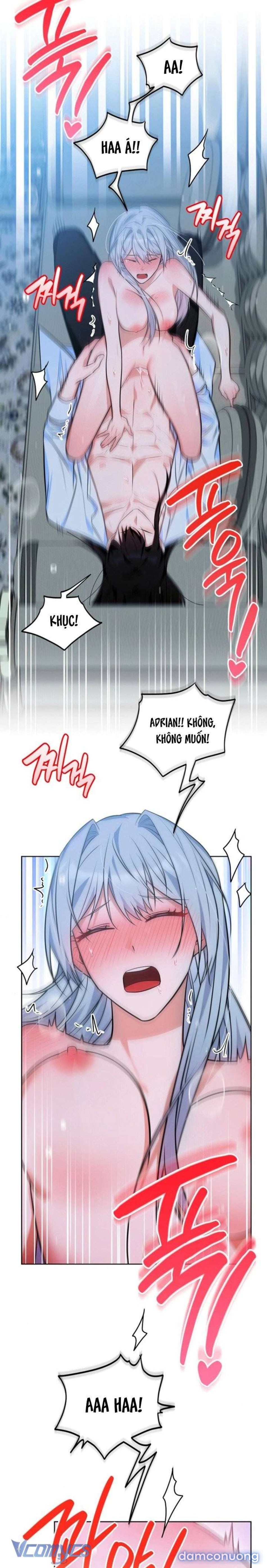 Gửi Người Bất Tử Mà Tôi Chẳng Thể Thật Lòng 