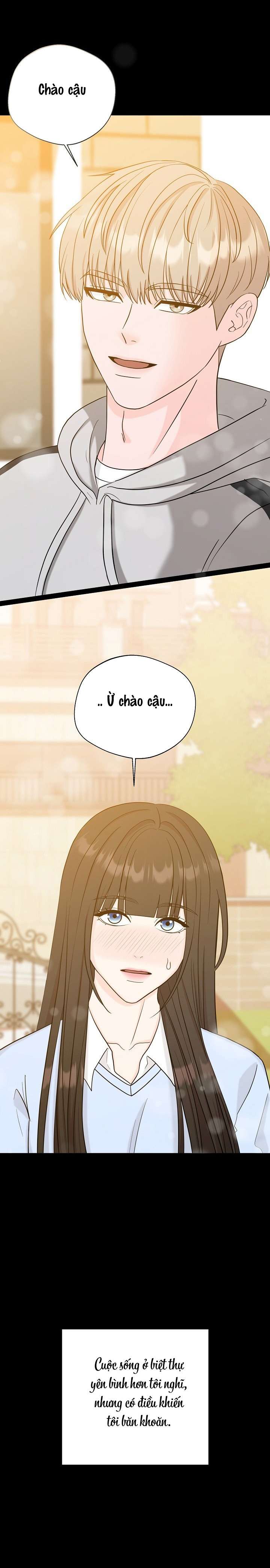 Ván Chơi Cá Cược 
