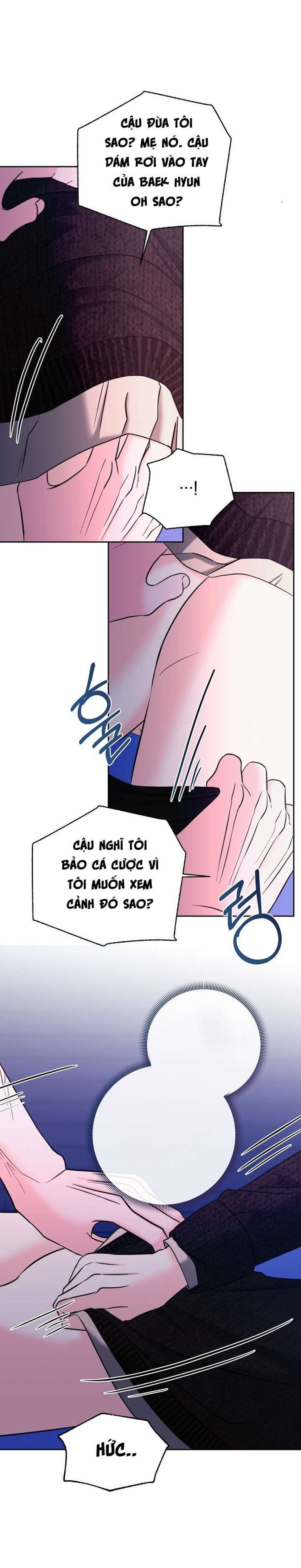 Ván Chơi Cá Cược 