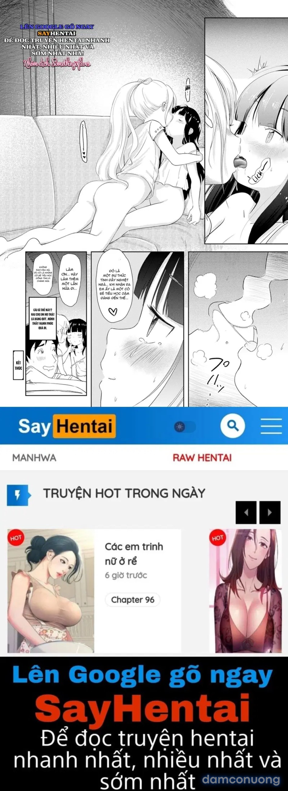 Nikora Và Koran Khúc Giao Hòa Của Hai Tâm Hồn 