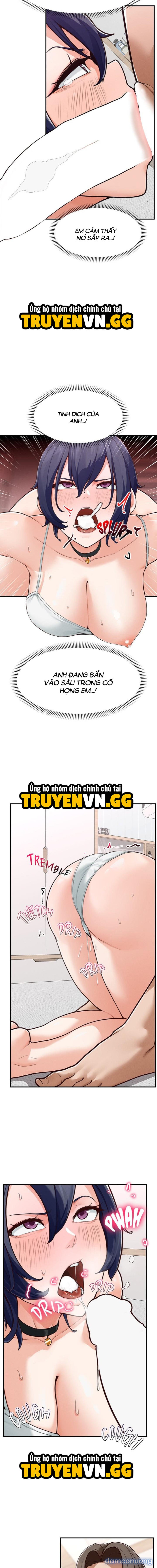 Quý Ngài Siêu Dẫn 