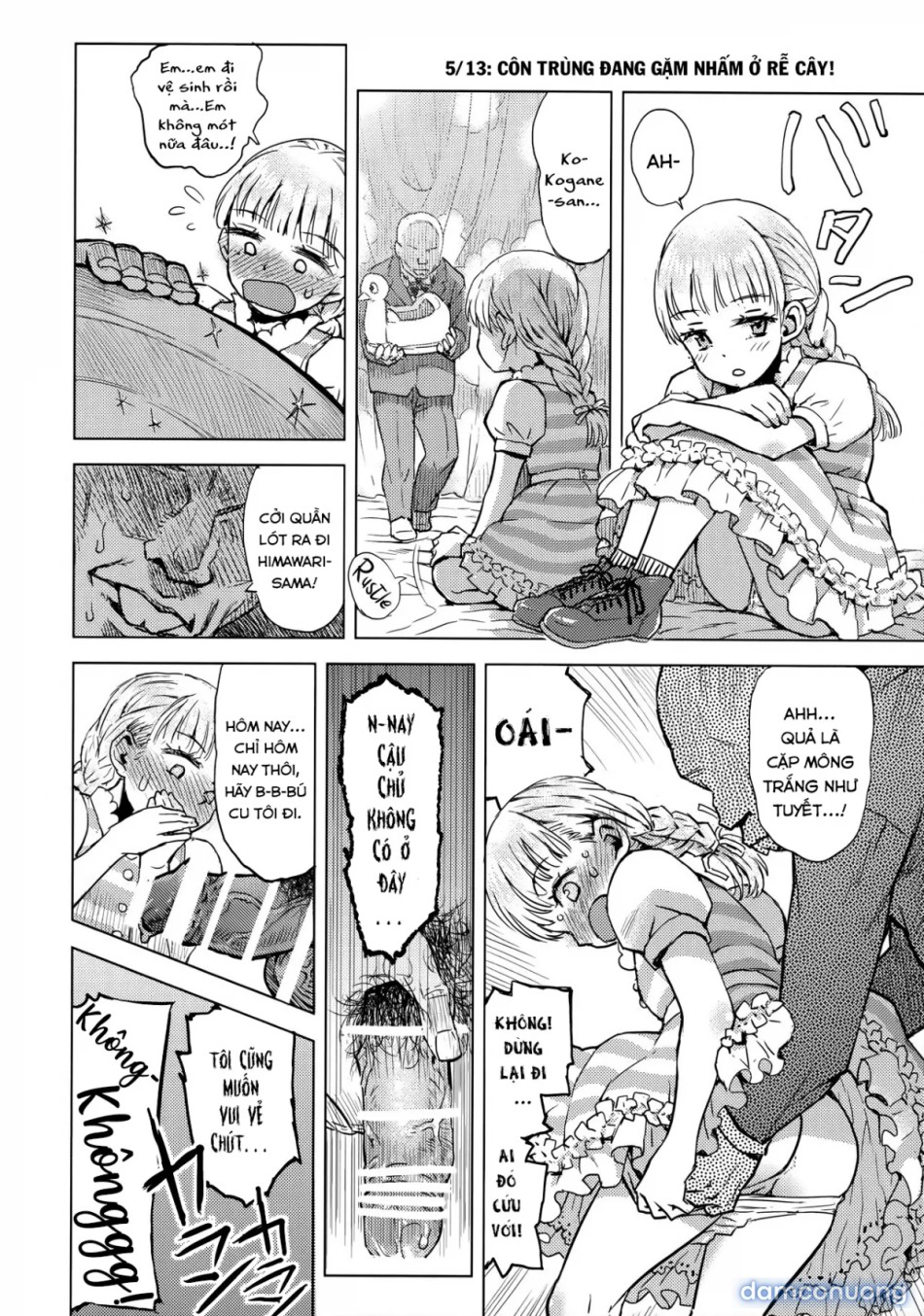 Nhật Ký Quan Sát Hoa Hướng Dương [ひまわりかんさつにっき; Sunflower observation diary; Himawari Kansatsu Nikki] 