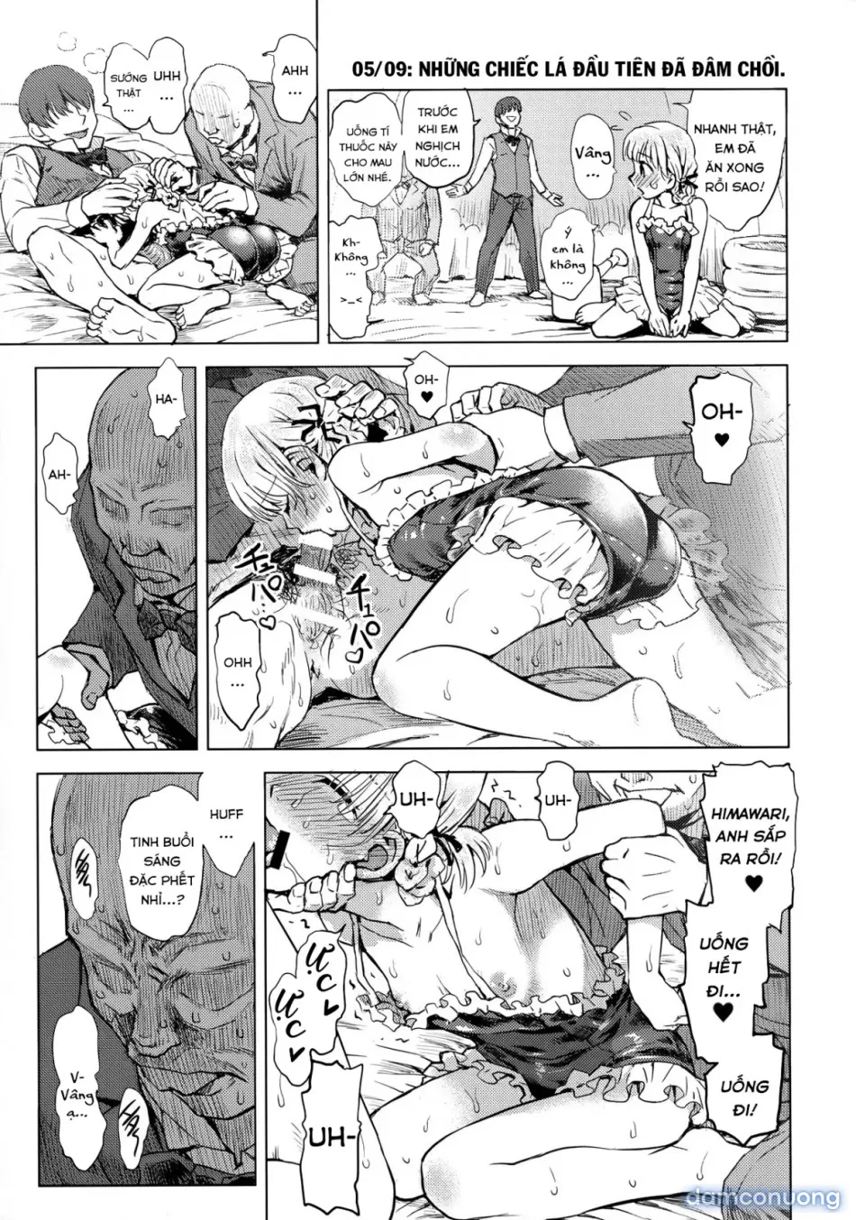 Nhật Ký Quan Sát Hoa Hướng Dương [ひまわりかんさつにっき; Sunflower observation diary; Himawari Kansatsu Nikki] 