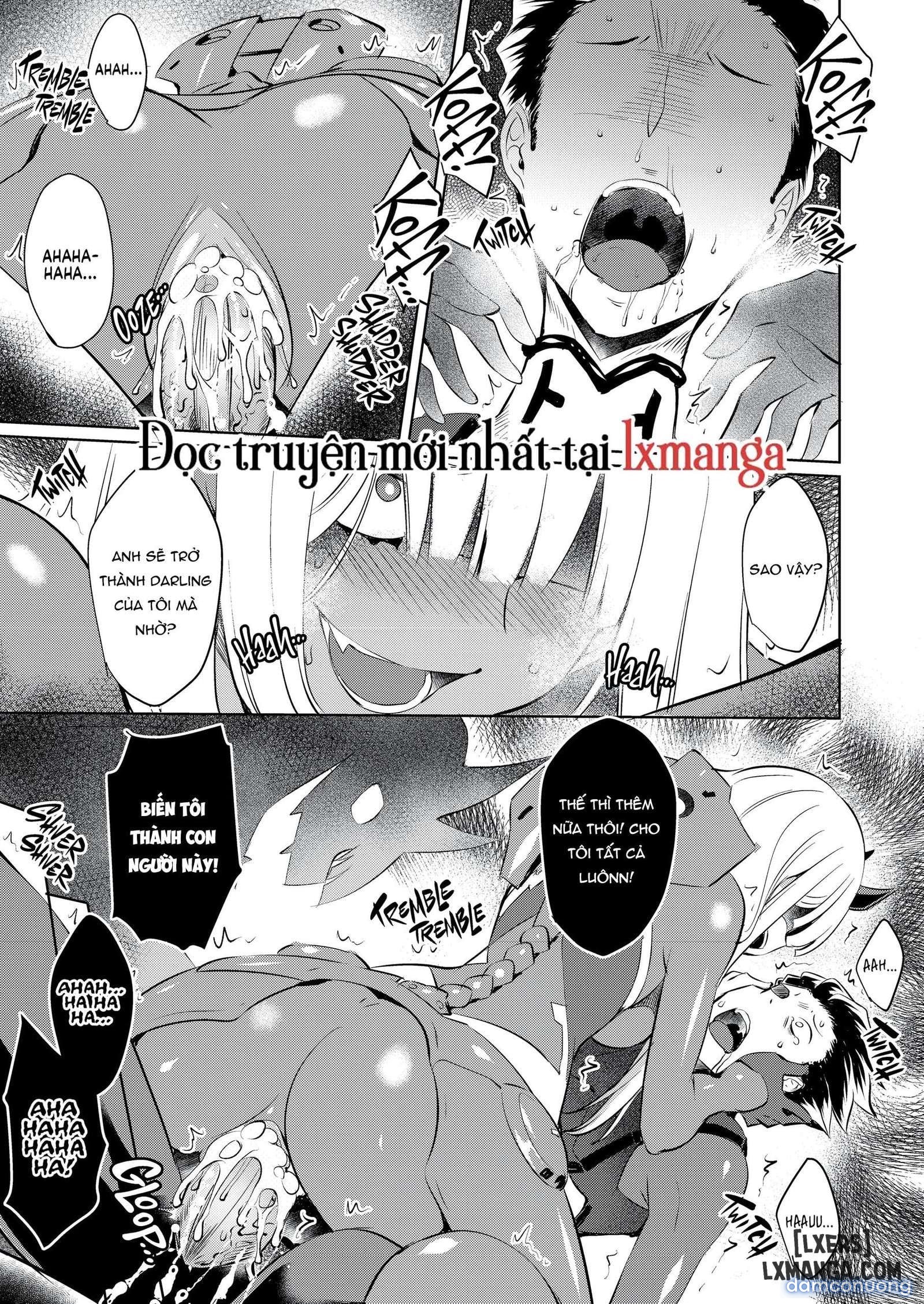 Darling in the One and Two Collection 