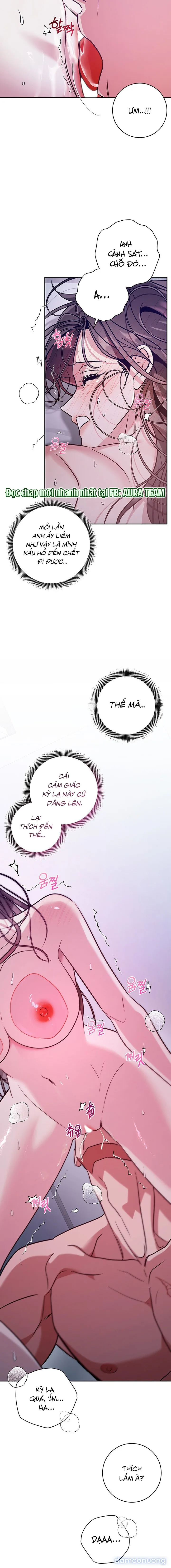 Thế Này Mà Là Nàng Dâu Ốc Sao?! 