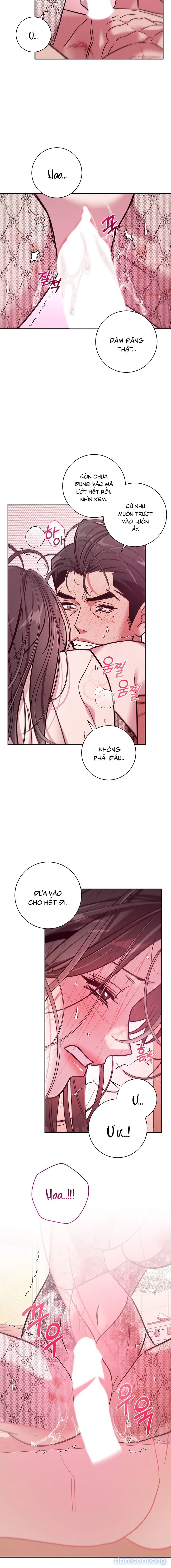 Thế Này Mà Là Nàng Dâu Ốc Sao?! 