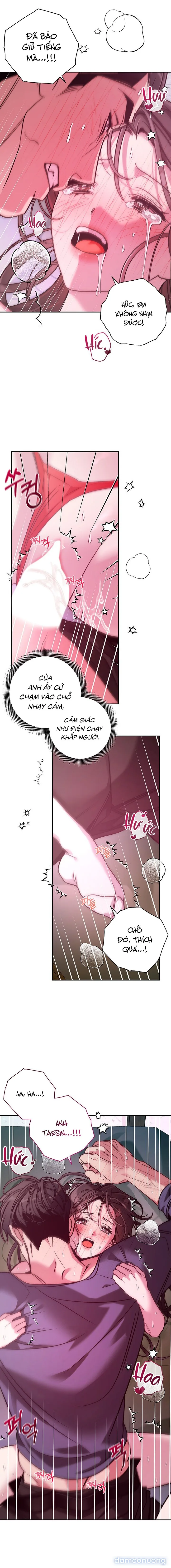 Thế Này Mà Là Nàng Dâu Ốc Sao?! 