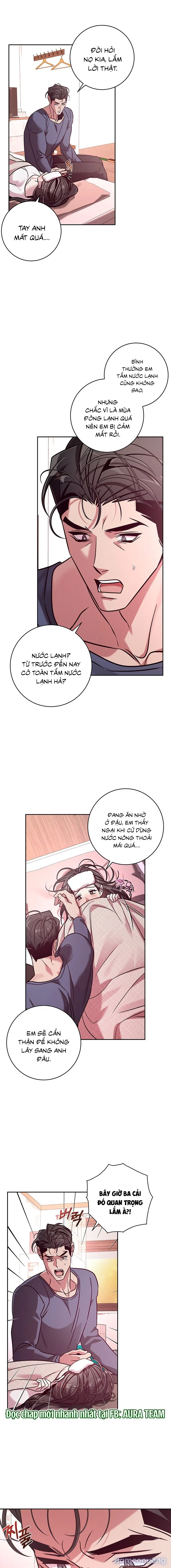 Thế Này Mà Là Nàng Dâu Ốc Sao?! 
