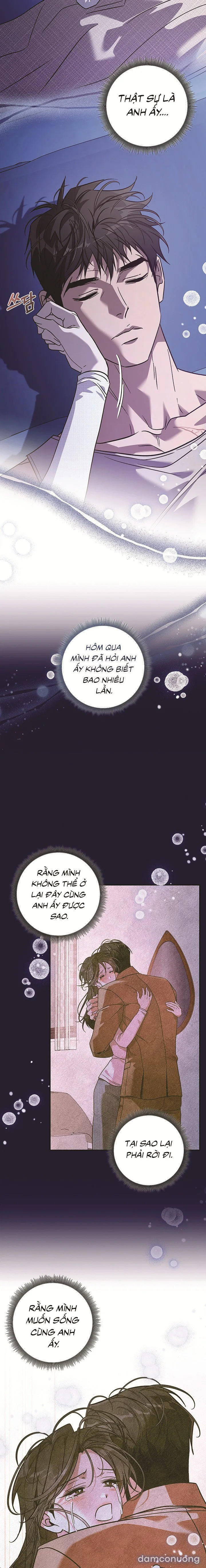 Thế Này Mà Là Nàng Dâu Ốc Sao?! 