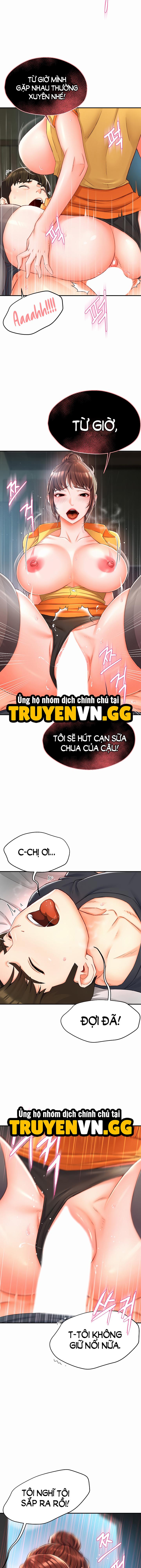 Quý Cô Yogurt 