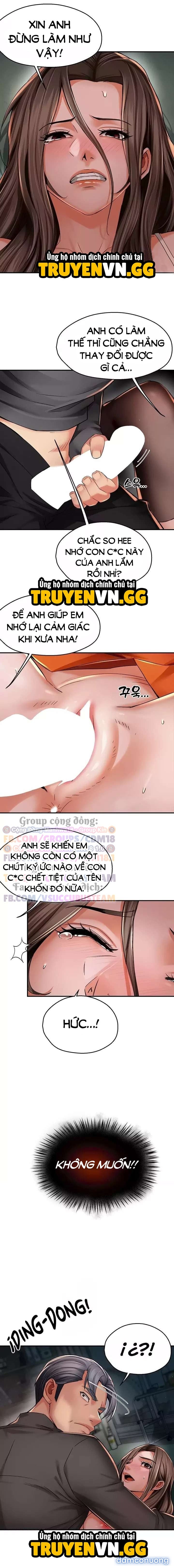 Quý Cô Yogurt 