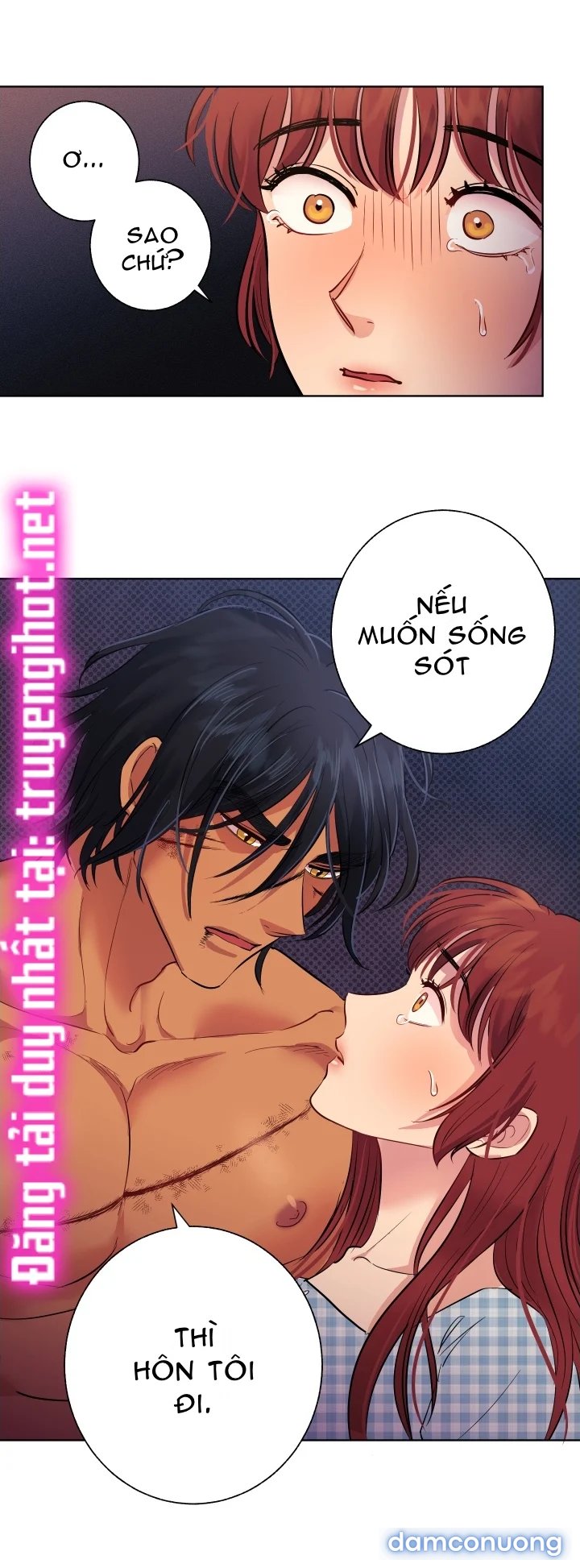 Một Lòng Một Dạ 