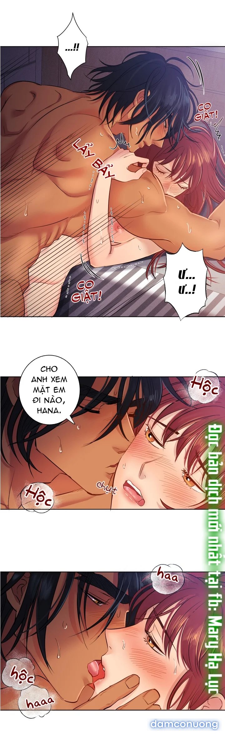 Một Lòng Một Dạ 