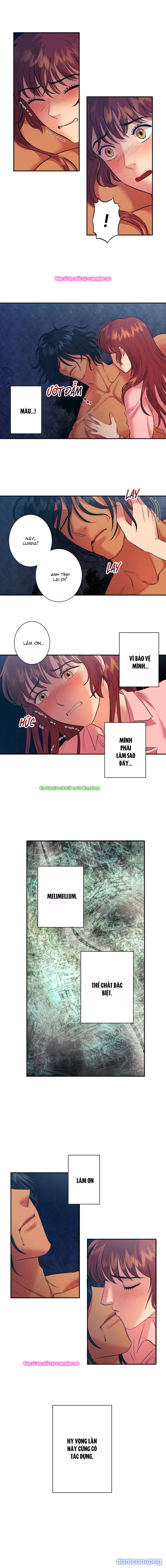 Một Lòng Một Dạ 