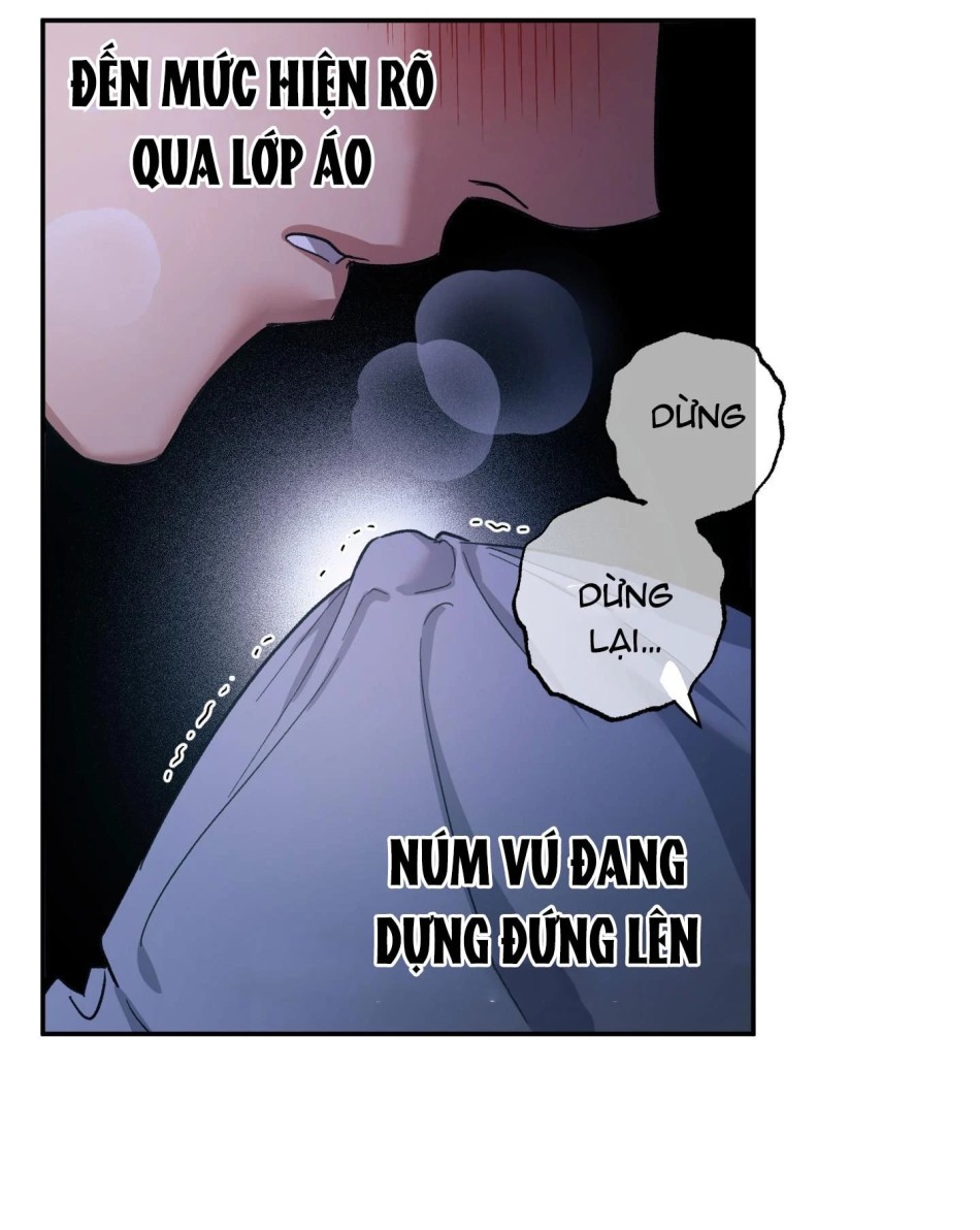 Một Lòng Một Dạ 