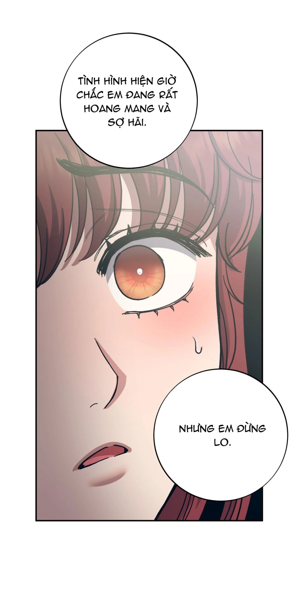 Một Lòng Một Dạ 