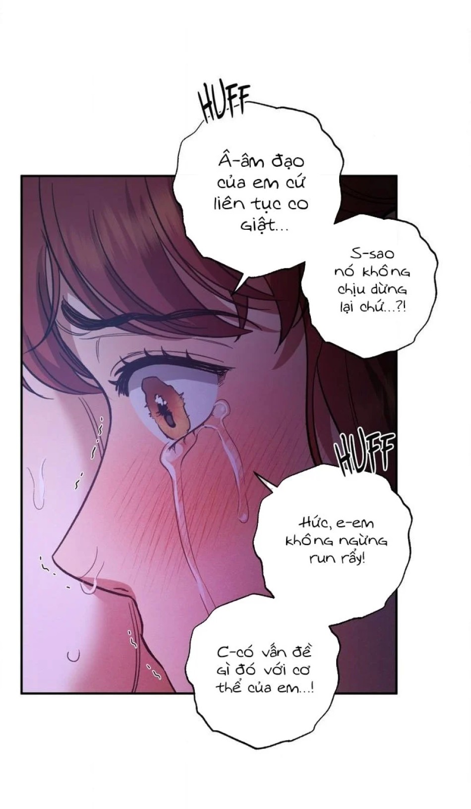 Một Lòng Một Dạ 